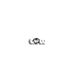 95210316 Ingersoll Rand (OEM)  O-RING