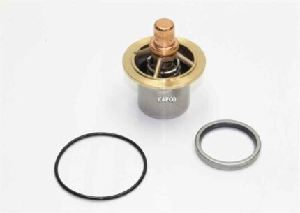 124973-060 Replacement Quincy Thermostat Kit