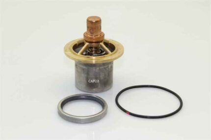 250025-621 Replacement Thermal Valve