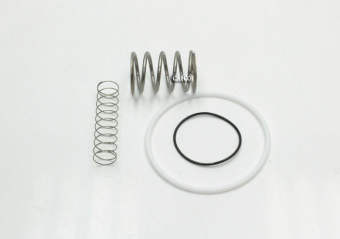 250031-438 Replacement KIT, REPAIR FOR INLET VALVE 2530030-612 (12 SERIES) - Image 1