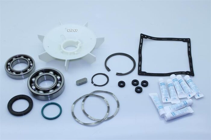2901-9195-00 KIT:MOTOR BEARING GA11-22 (OEM) Atlas Copco - Image 1
