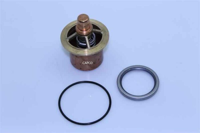 37952389 Replacement Ingersoll Rand Thermostat - Image 1