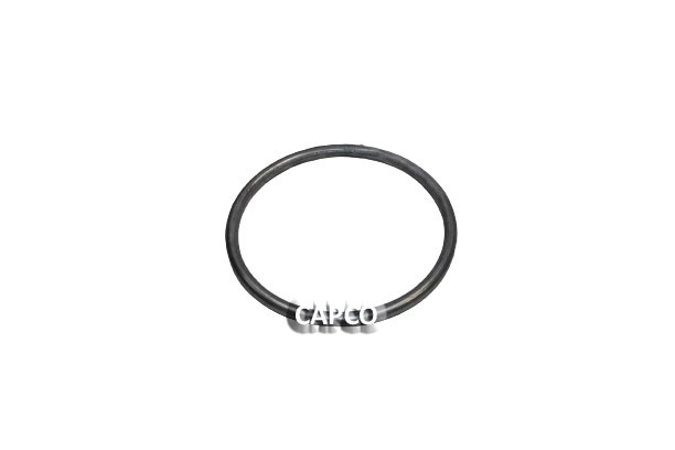37981933 Ingersoll Rand (OEM)  RING 37981933 Ingersoll Rand (OEM)  RING,CRUSH - Image 1