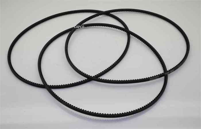6.2506.0 Replacement Kaeser Belt Set - Image 1