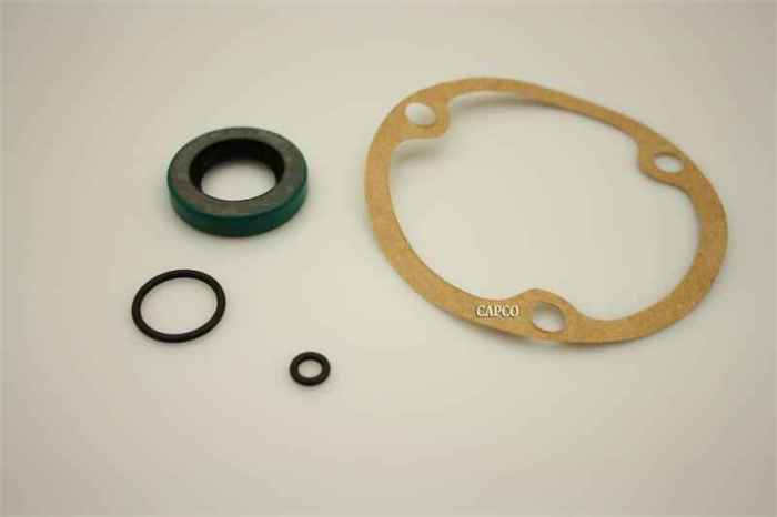 02250111-822 Replacement Pump Seal Kit - Image 1