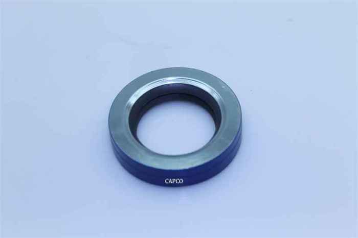 02250133-540 Genuine Part by SULLAIR (R) SEAL, DBL LIP TFE  CW BLUE - Image 1