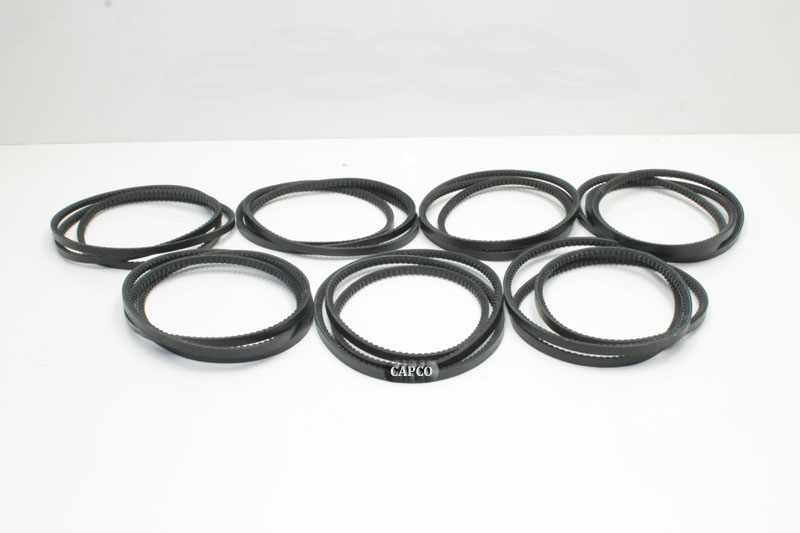 107-005-00 Replacement Coaire Belt Set - Image 1