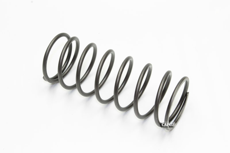 126649 Quincy Spring - Image 1