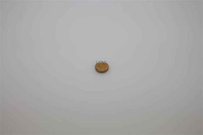 1619-5819-00 DISC-SINTERED:8MM OD X 2MM TK, (OEM) Atlas Copco - Image 1