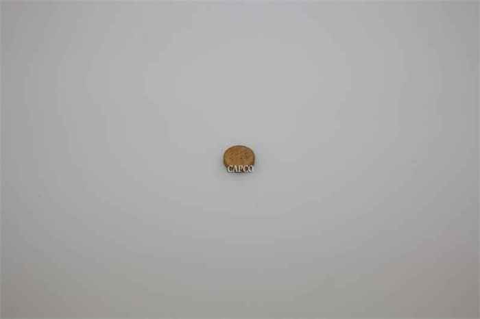 1619-5819-00 Replacement Atlas Copco FELT DISC/SINTERED DISK - Image 1