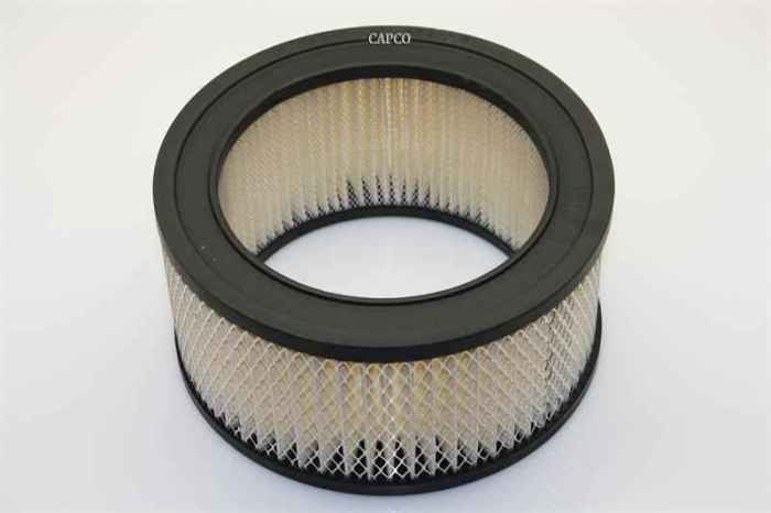 CR21B10633 Replacement Mattei Air Filter - Image 1