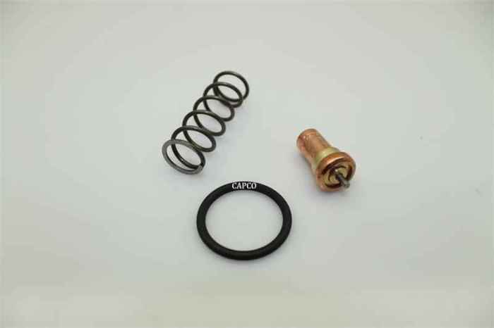 2120-0223-55 Thermostat Kit (OEM) Atlas Copco - Image 1