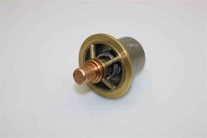 22195820 Replacement Ingersoll Rand Thermostat - Image 1