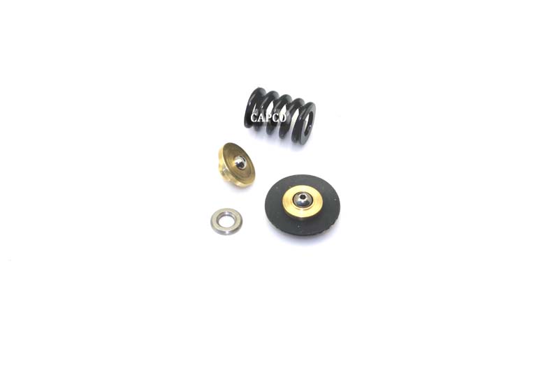 250019-453 Replacement KIT, REPAIR with spring - Image 1