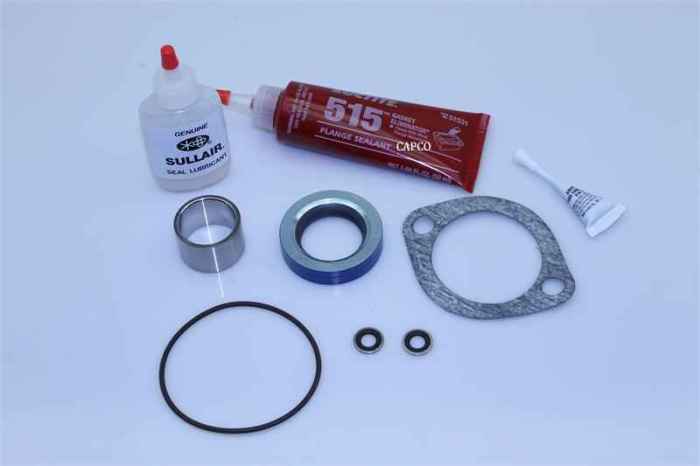 250028-035 Genuine Part by SULLAIR (R) KIT,SEAL REPL ES6    LIP V TFE - Image 1