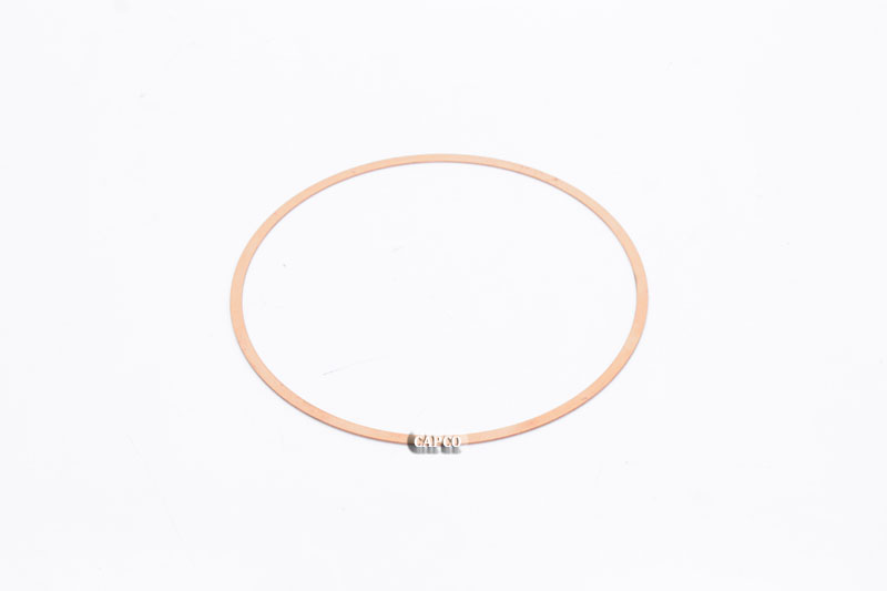 25L6 GASKET-RING (OEM) Gardner Denver - Image 1