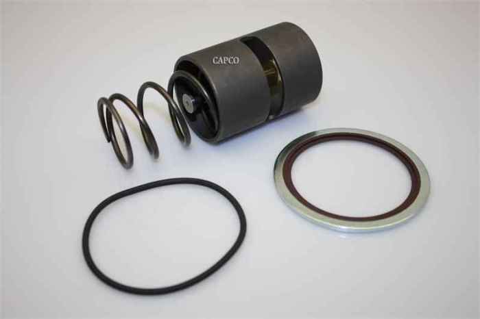 2901-0074-00 Atlas Copco (OEM) Thermo Valve Kit - Image 1