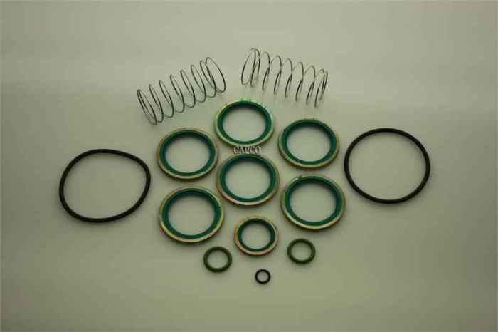 2901-0081-00 Replacement Atlas Copco KIT, VALVE OIL STOP - Image 1