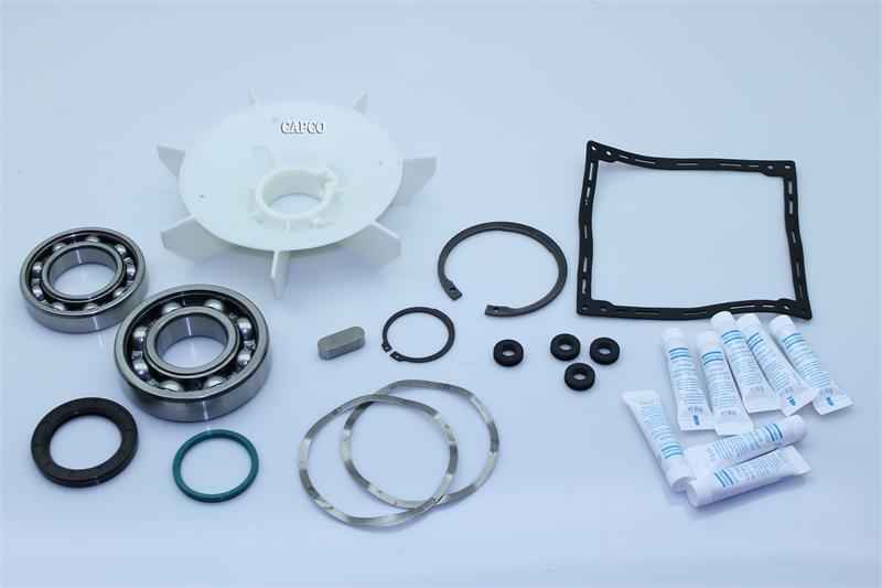 2901-0716-00 KIT:MOTOR BEARING GA11-22 (OEM) Atlas Copco - Image 1