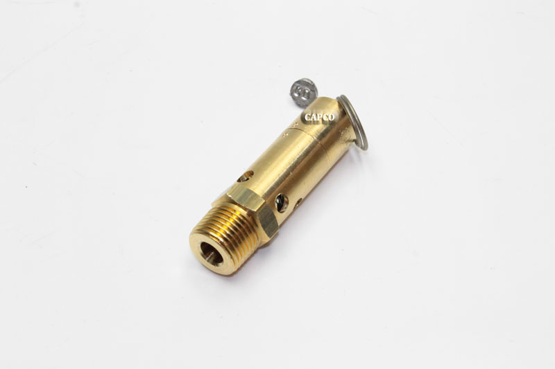 250006-938 Replacement Safety Valve - Image 1