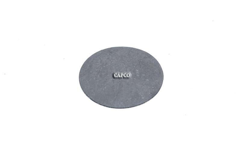 5.0999.0 Replacement Kaeser DIAPHRAGM - Image 1