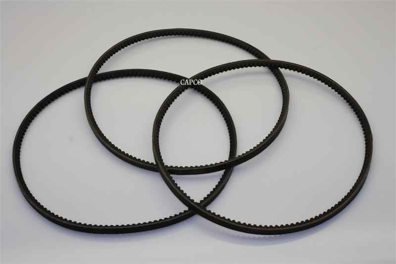 6.2502.0 Replacement Kaeser V-BELT SET - Image 1