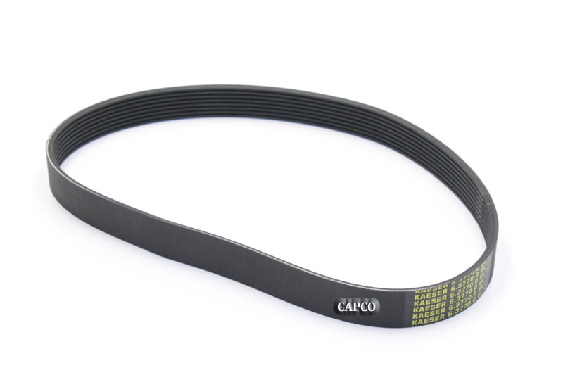 6.3770.0 Replacement Kaeser Belt - Image 1