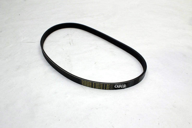 6.3813.0 Replacement Kaeser BELT - Image 1