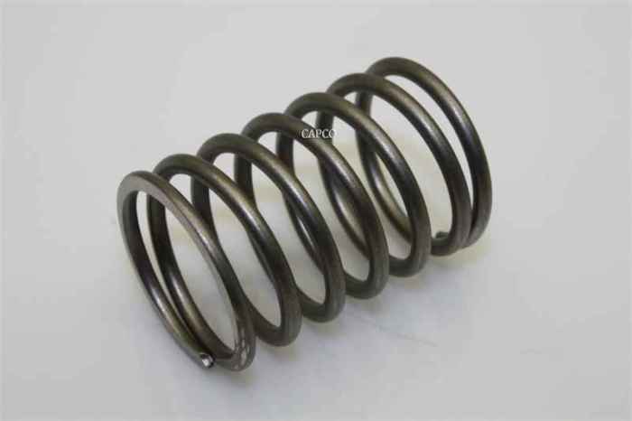 78H22 Gardner Denver (OEM) Spring - Image 1