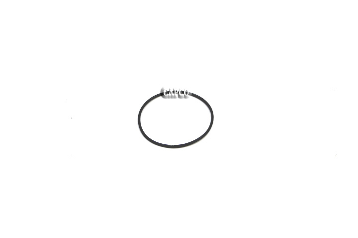 95070272 Ingersoll Rand (OEM)  O-RING, .062in W X 2.0in I.D. VITON - Image 1