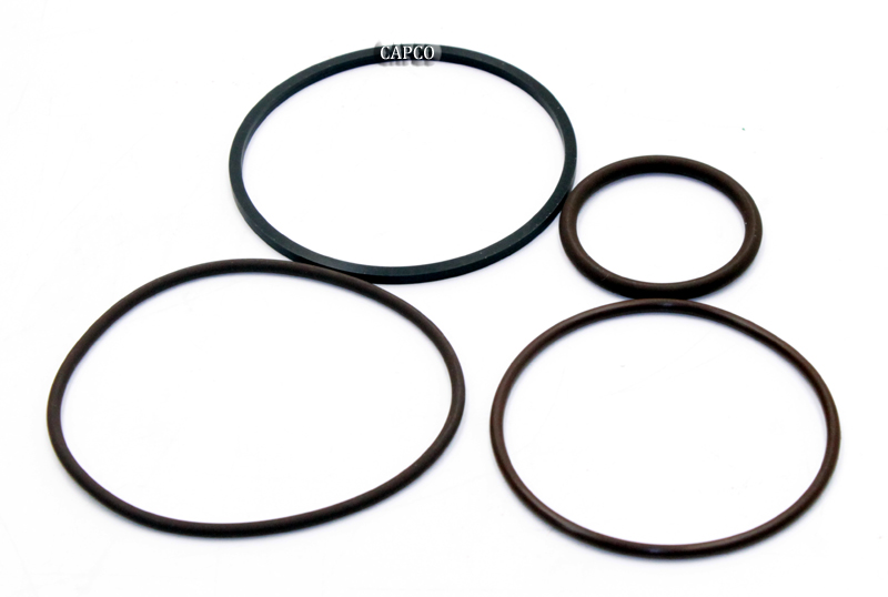 TEN000737 KIT O-RING, VITON (OEM) Gardner Denver - Image 1