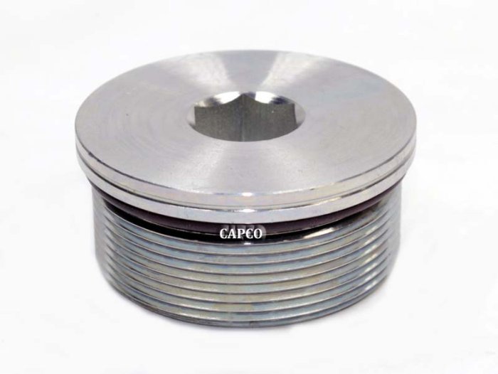 96769047 Ingersoll Rand (OEM)  PLUG, HEX SOC M60X2 UNPLATED - Image 1