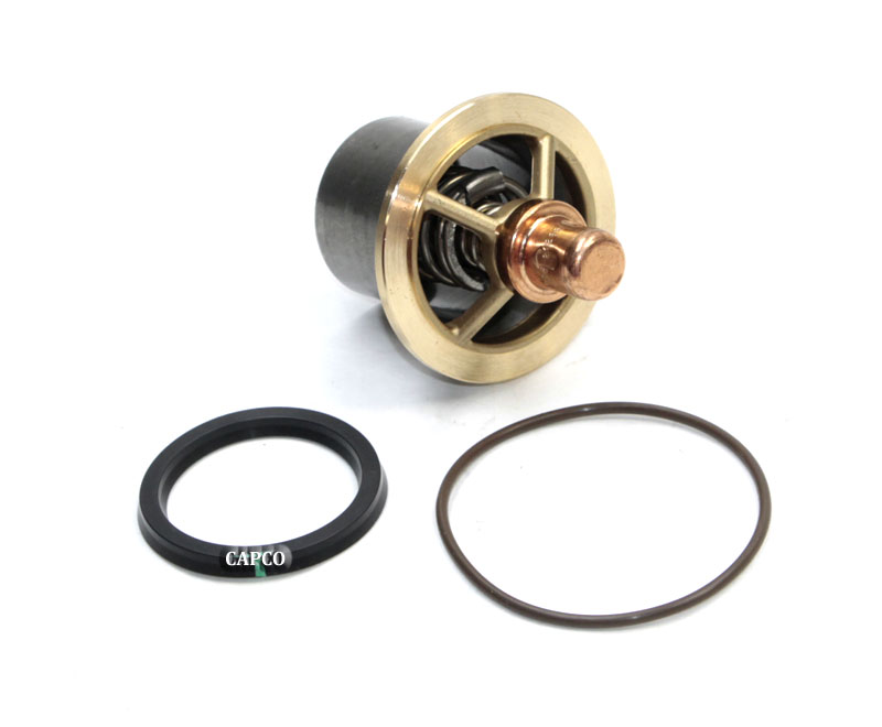 02250176-831 Genuine Part by SULLAIR (R)  KIT,RPR THRMVLV O-RING 190F - Image 2