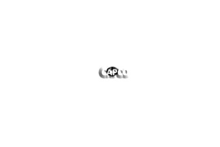 95210316 Ingersoll Rand (OEM)  O-RING