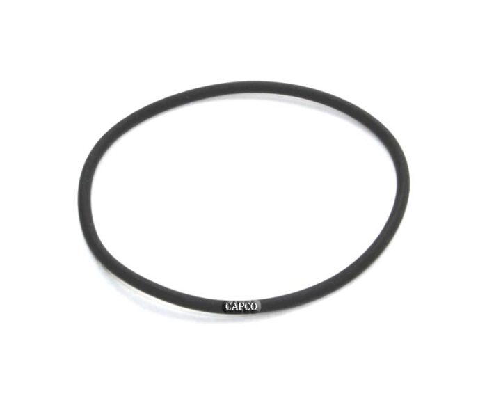 95602.56 'O'RING