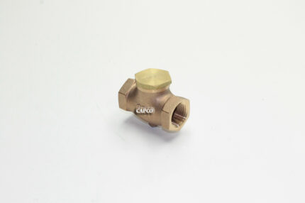 CB10 Replacement 1" Brass Check Valve