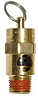 CAPCO Universal Replacement Relief Valve 1/4" 165 PSI