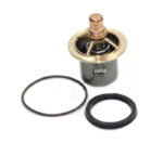02250176-831 Genuine Part by SULLAIR (R)  KIT,RPR THRMVLV O-RING 190F