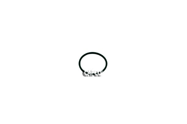 0663-2107-81 O-RING (OEM) Atlas Copco - Image 1