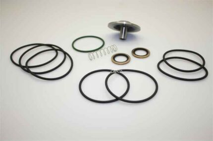 2901-0212-00 KIT:CHECK VALVE (OEM) Atlas Copco