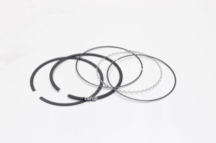 32307100 Ingersoll Rand (OEM)  SET, RING-5.00 IN (2545)