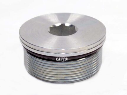 96769047 Ingersoll Rand (OEM)  PLUG, HEX SOC M60X2 UNPLATED