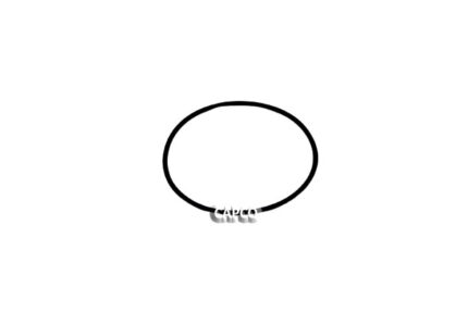 A93196120 O-RING (PIPE SEAL) (OEM) Gardner Denver